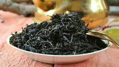 Лечебные свойства иван-чая или кипрея узколистного