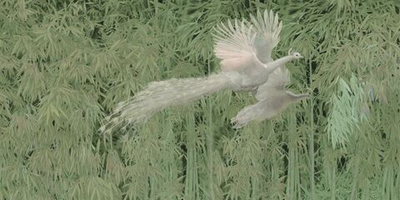 Фреска Applico, коллекция Natura