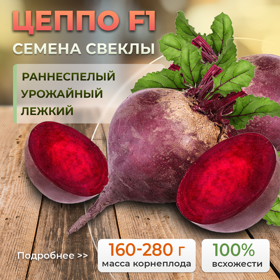 ЦЕППО F1 семена свеклы (Rijk Zwaan | Alexagro) – фото 1