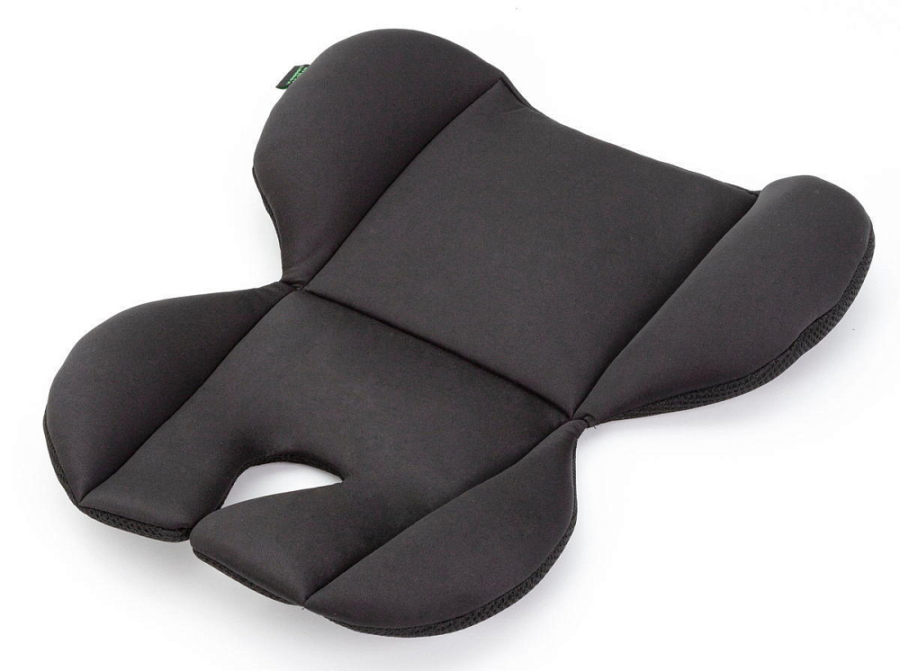 Коляска Carrello Vector CRL-6550 Ammonite AY329 Pro Absolute Black с базой Isofix 3 в 1 Landscape Grey