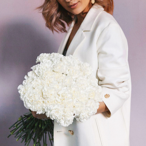 Купить Диантус белый от 9шт