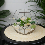 Флорариум Зимний лес