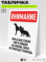Табличка для частной территории "Внимание, при атаке собак лягте лицом на землю", на дом, для участка, организаций и частных территорий, предупреждающая, 40х30 см, Silver Plane x Айдентика Технолоджи
