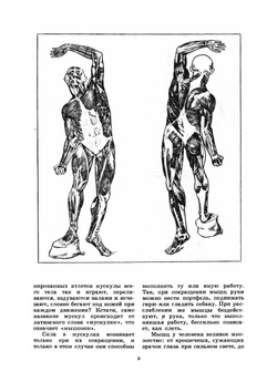 Стань сильным. Знай и умей | М.З. Залесский