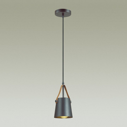 Подвесной светильник Lumion 3641/1