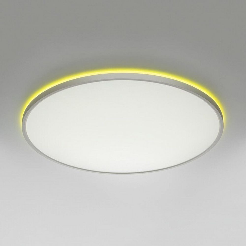 Накладной светильник Citilux NORMA CL749600