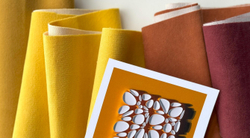 Велюр Forward / Форвард