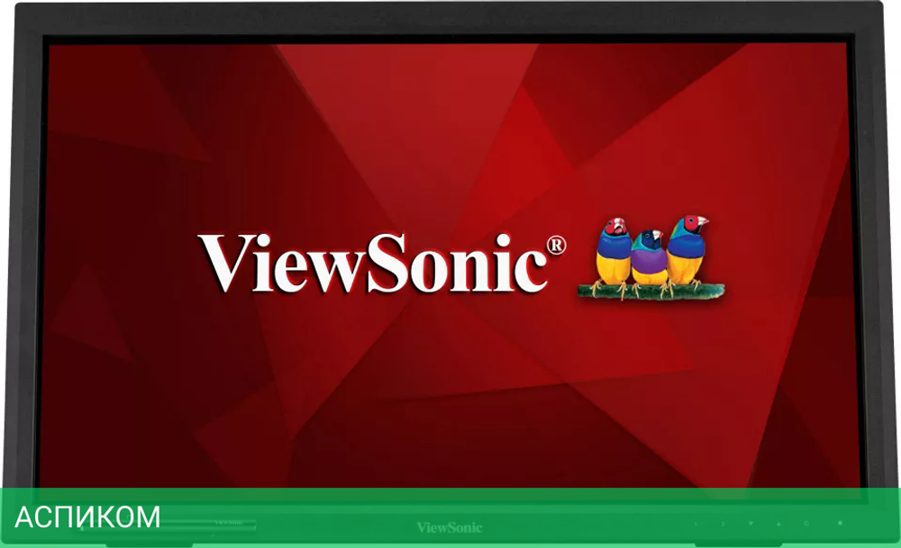Монитор ViewSonic TD2223