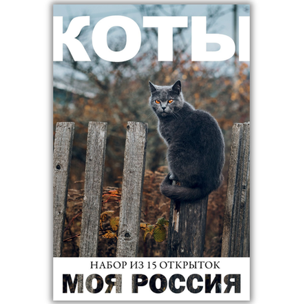 Моя Россия. Коты