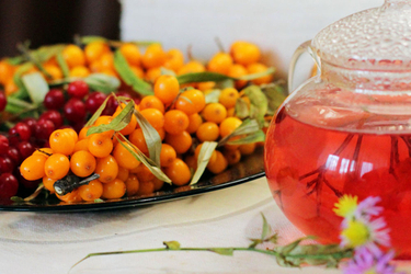 Сибирский чайный сад: выращиваем иргу, калину и облепиху для вкусного и полезного чая