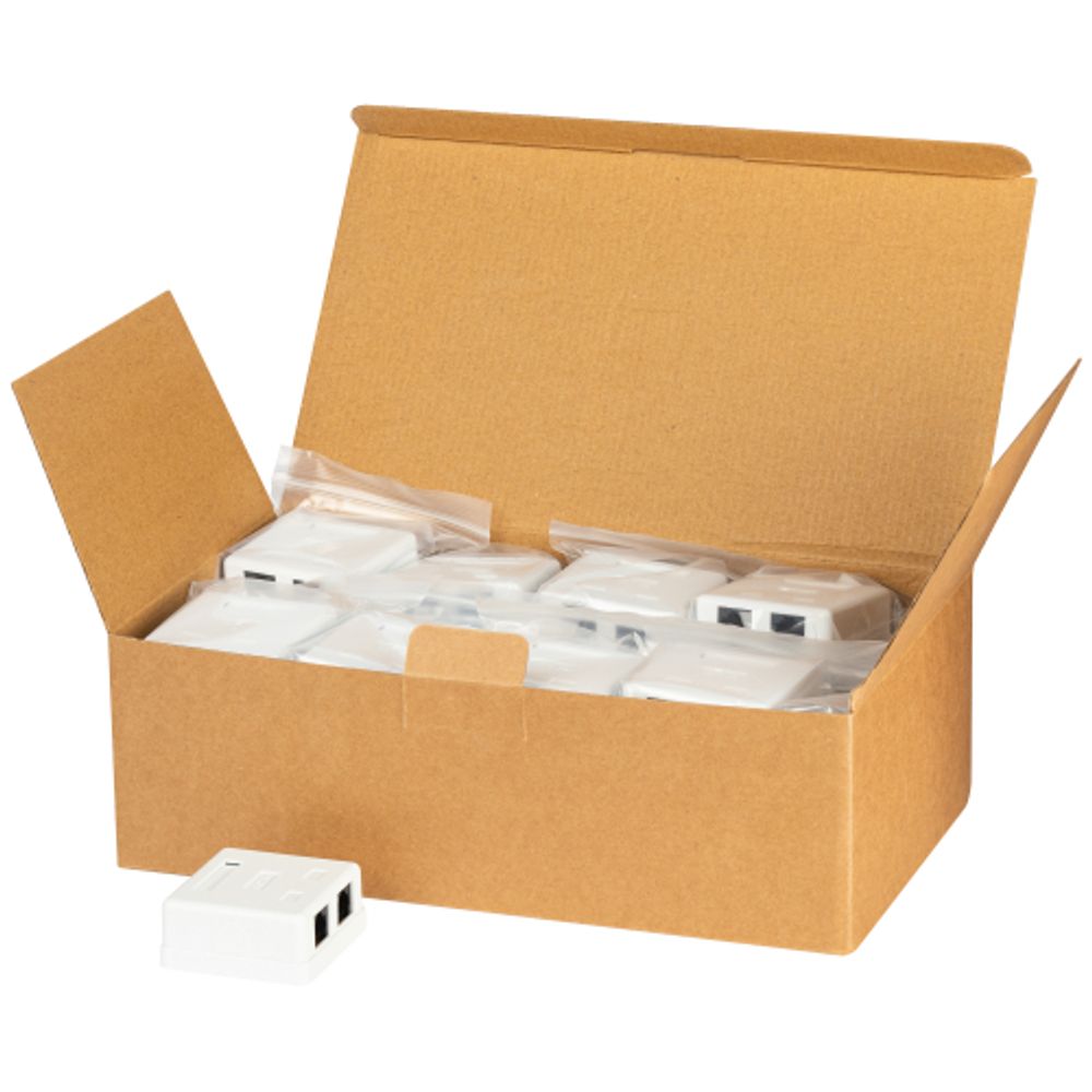 Розетка компьютерная RJ-45 ЭРА RJ02UN категория 5е неэкранированная 2-порта упаковка 30 шт