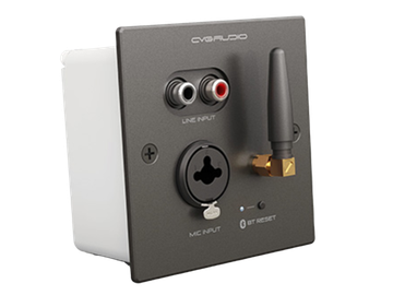 CVGAUDIO PW/EX-IN/BL универсальная настенная панель для удаленного подключения балансного микрофона MIC IN