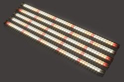 лампа для выращивания микрозелени