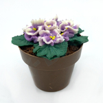 Форма для шоколада ГОРШОЧЕК, КАШПО d70 h56 мм, пластик