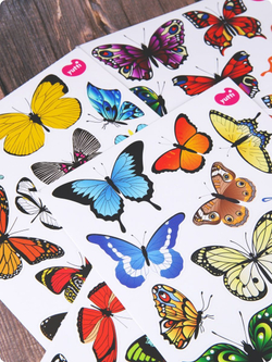 Наклейки бабочки для декорирования интерьера