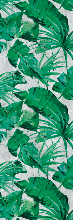 Коллекция Тропическое