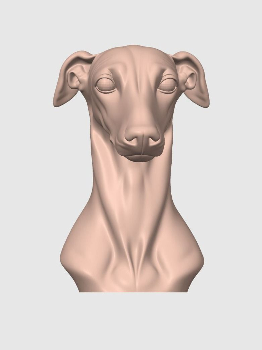 Борзая