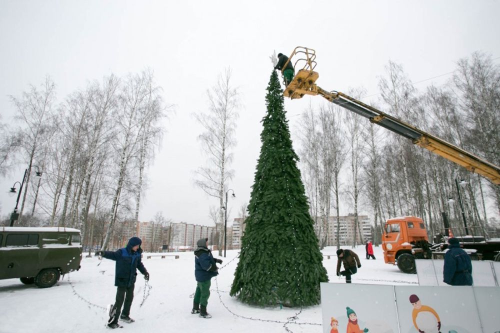 ель уличная конусная "Русская"