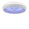 Потолочный светодиодный светильник Freya Cells FR10012CL-L24W