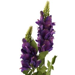 GAEM Цветок искусственный, L W H75 см