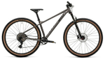 Горный велосипед Welt Rambler 1.0 (2025)