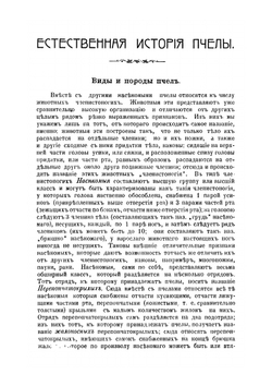 Естественная история пчелы | А. Тихомиров