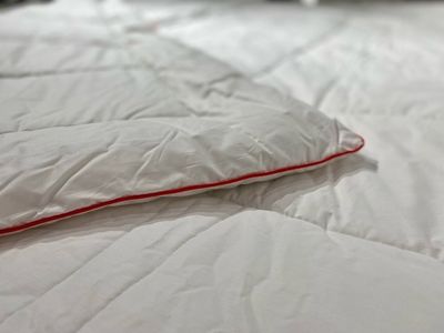 Одеяло "БиоПух Голд" 300 г/м2 (Слав Текстиль)