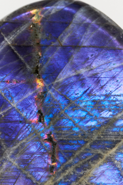 Срез Лабрадора M