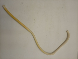 EWT1221 кт12 Набор трубок подвода воды стиральной машины Electrolux б/у