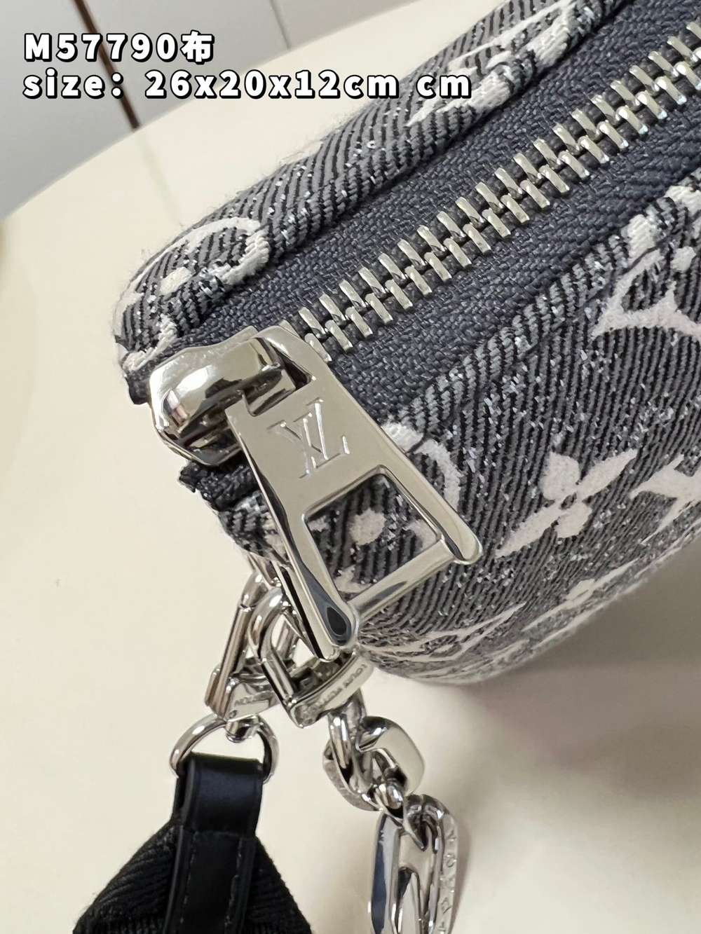 Louis Vuitton Coussin PM