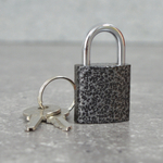 Замок навесной Apecs PD-01-25 (МВС-122)