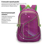 Рюкзак BRAUBERG для старших классов/студентов/молодежи, "Крокус", 30 литров, 46х34х18 см, 225521