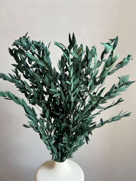 Эвкалипт Парвифолия стабилизированный зеленый