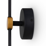 Настенный светильник (бра) Freya FR6110WL-L12GB