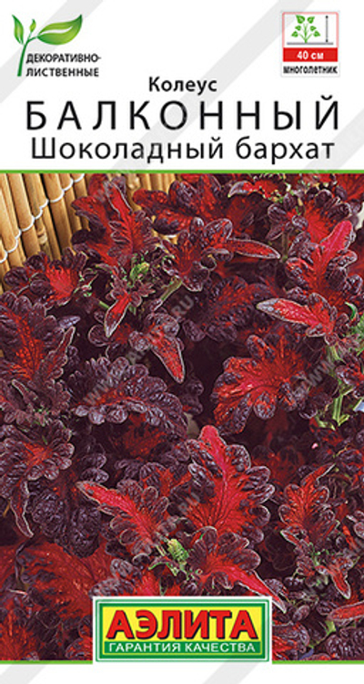 Колеус балконный Шоколадный бархат 5 шт (Аэлита)