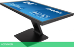 Монитор Iiyama ProLite T2452MSC-B1 черный