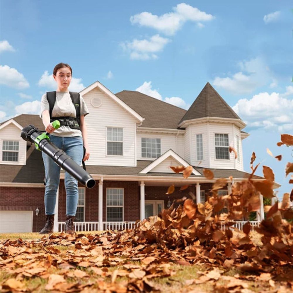 Ранцевая воздуходувка аккумуляторная Greenworks Арт. 2408107, 40V, бесщеточный, без АКБ и ЗУ