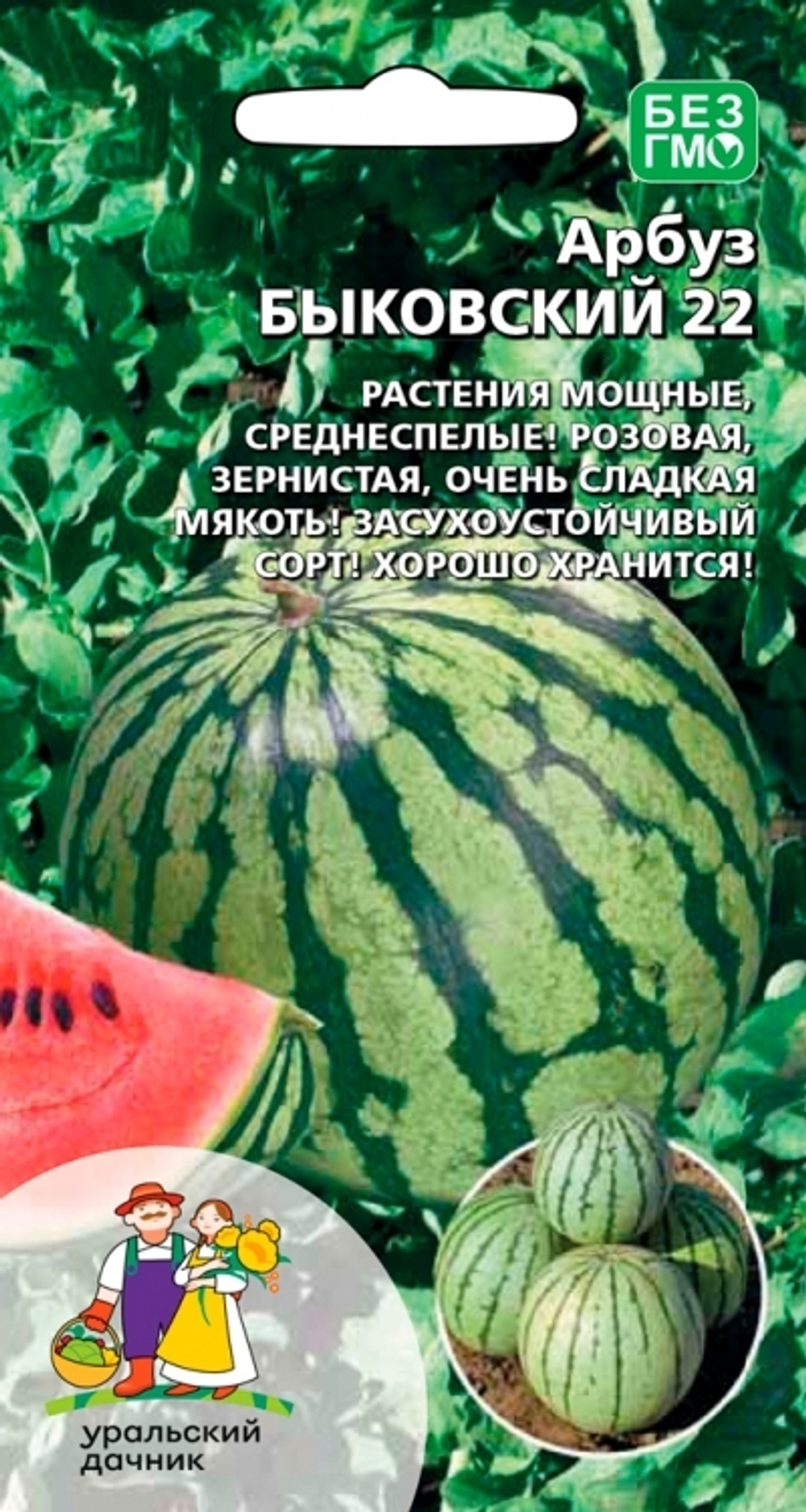 арбуз Быковский 22