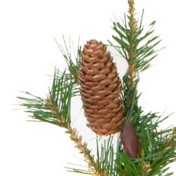 GAEM Елка искусственная, L60 W60 H107 см, 172 ветки