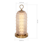 Светильник настольный SAGUARO LED 1х12W