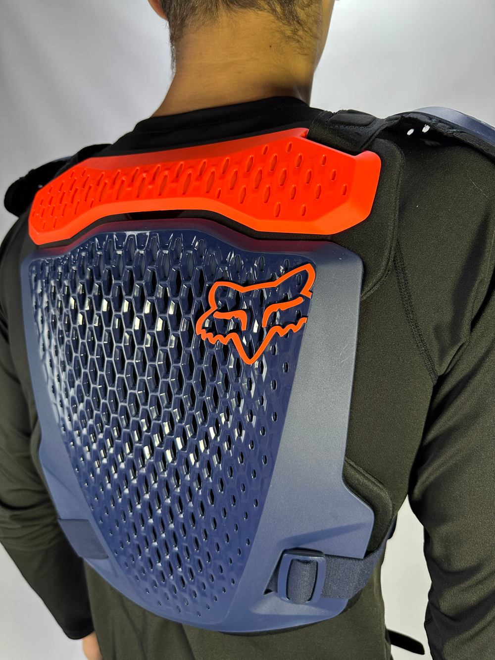 Черепаха FOX