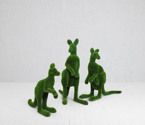 Топиари Кенгуру