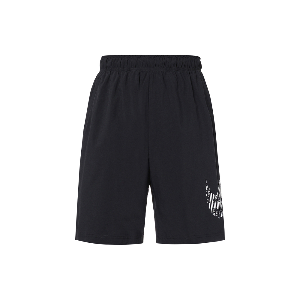 Шорты Nike Dry Flex Logo, CJ2393-010