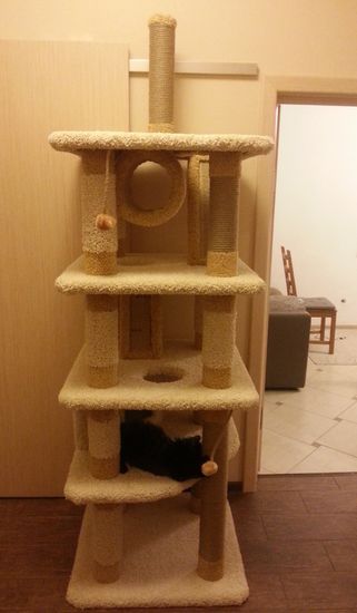 Игровой комплекс для кошки КУН-2 (мейн-кун)