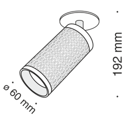 Спот Maytoni   C037CL-01W