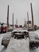 Дизель-С 6003* Прицеп сортиментовоз 600329