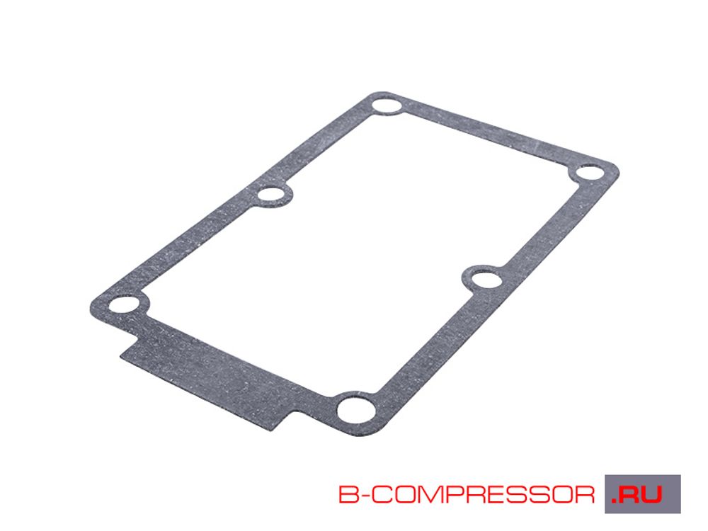 Прокладка К24.01.00.009