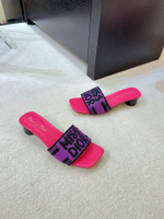 Christian Dior Dway Slide (11 colors)