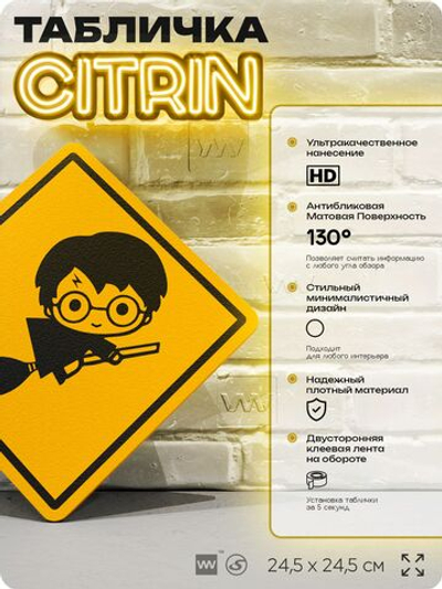 Табличка "Осторожно, Гарри Поттер" шуточная прикольная табличка на дверь и стену, для офиса и дома, декоративный знак, 24,5х24,5 см, пластиковая, Айдентика Технолоджи