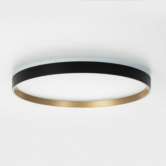 Потолочный светильник Citilux ETALON CL750401R